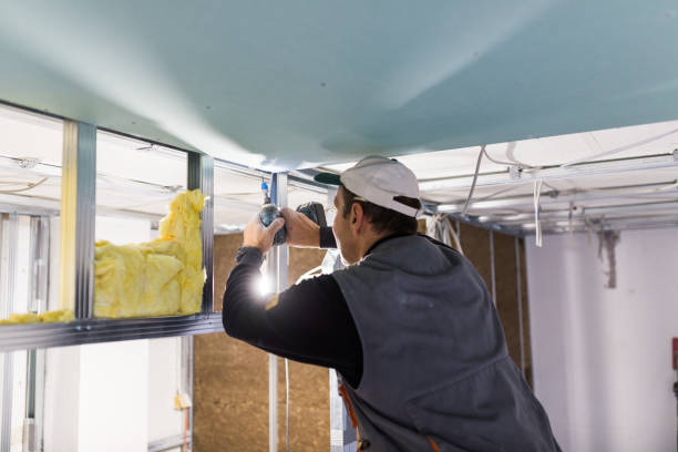 Best Insulation Maintenance and Repair in Youngstown, OH
